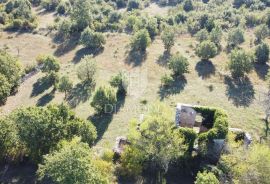 Vodnjan, okolica, prekrasna stancija okružena zelenilom!, Vodnjan, Tierra