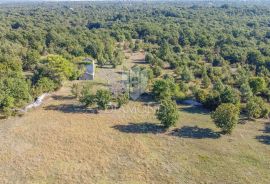 Vodnjan, okolica, prekrasna stancija okružena zelenilom!, Vodnjan, Terrain