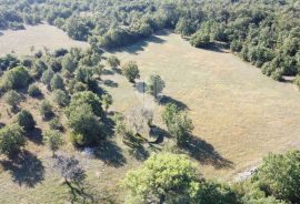 Vodnjan, okolica, prekrasna stancija okružena zelenilom!, Vodnjan, Land