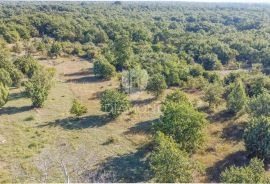 Vodnjan, okolica, prekrasna stancija okružena zelenilom!, Vodnjan, Land