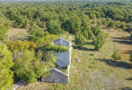 Vodnjan, okolica, prekrasna stancija okružena zelenilom!, Vodnjan, Terrain