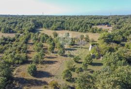 Vodnjan, okolica, prekrasna stancija okružena zelenilom!, Vodnjan, Land