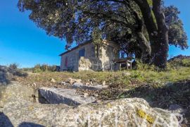 Poljoprivredno Zemljište sa Kućicom i Pogledom na More, Stari Grad, Terreno