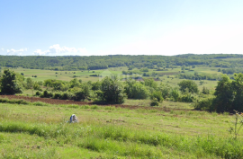 ISTRA,GROŽNJAN - Građevinsko zemljište s panoramskim pogledom, Grožnjan, Zemljište