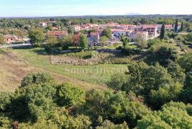 KANFANAR, starina na zemljištu od 6166 m2, Kanfanar, Casa