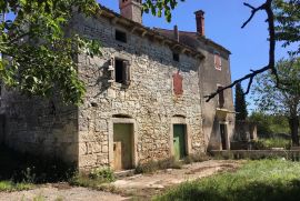 KANFANAR, starina na zemljištu od 6166 m2, Kanfanar, Σπίτι