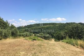 BUJE - MOMJAN, starina sa zemljištem površine 16.691 m2, Buje, Σπίτι