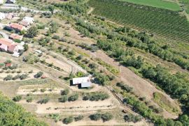 BUJE - MOMJAN, starina sa zemljištem površine 16.691 m2, Buje, Kuća