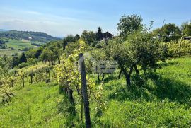 Obiteljska prizemnica u Mariji Gorici, Marija Gorica, Kuća