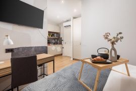 Najam studio apartmana u centru grada Rijeke, Rijeka, Daire