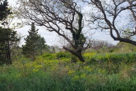 Pag, Potočnica, predivan teren blizu mora, Novalja, Terrain