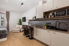 Najam studio apartmana u centru grada Rijeke, Rijeka, Apartamento