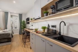 Najam studio apartmana u centru grada Rijeke, Rijeka, Stan