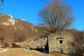 Ruševna starina na Učki, Opatija - Okolica, Famiglia