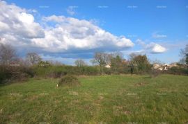 Građevinsko zemljište Prodaje se građevinska parcela, 351 m2, s pravomoćnom građevinskom dozvolom, Vodnjan, Terreno