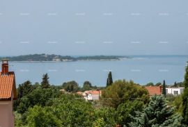 Pasnion Apartmanska kuća s bazenom!Blizina mora i plaže!, Fažana, Commercial property