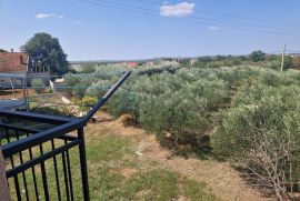 Kuća prodaja POLAČA 160 m2 na 2396 građevinske parcele, Polača, Famiglia