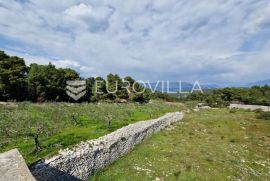 Brač, Pučišća, kuća prizemnica s velikim maslinikom od 8300 m2, Pučišća, بيت