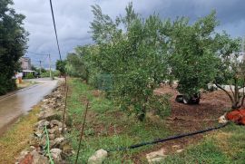 PRODAJA građevinsko zemljište, 507 m2, otok Pašman, Pašman, Terra