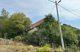 PRILIKA!!!! KUĆA S GOSPODARSKIM OBJEKTOM I ZEMLJOM, Perušić, Famiglia