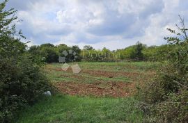 Zemljište uz sami rub građevinske zone, Vodnjan, Land