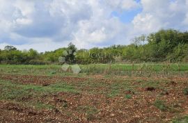 Zemljište uz sami rub građevinske zone, Vodnjan, Land