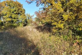 Oranica obrasla šumom, Marčana, 11.600 m², Marčana, Tierra