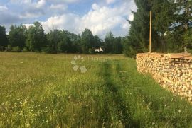 Zemljište za obiteljsku kuću Delnice, Delnice, Terrain