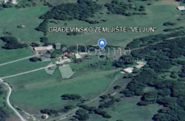 ZEMLJIŠTE U SRCU PRIRODE I ŠUME S PROJEKTOM P+1, Senj, Zemljište