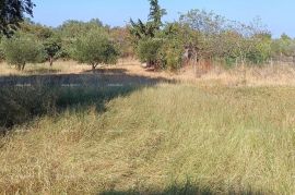 Građevinsko zemljište Prodaje se građevinsko zemljište, BUJE, 900 m2 sa pogledom na more, Buje, Zemljište