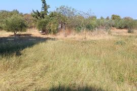 Građevinsko zemljište Prodaje se građevinsko zemljište, BUJE, 900 m2 sa pogledom na more, Buje, Zemljište