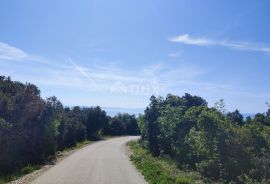 ISTRA, KAVRAN - Šuma na zanimljivoj i atraktivnoj lokaciji, Marčana, Land