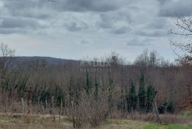 ISTRA, PIĆAN - Poljoprivredno zemljište od 4.227 m2, Pićan, Land