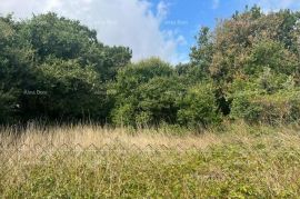 Građevinsko zemljište Prodaja građevinskog zemljišta, Ližnjan, Ližnjan, Land