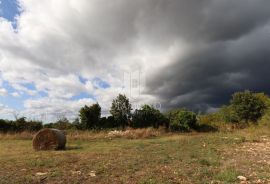 Građevinsko zemljište u mirnom selu blizu Svetvinčenta, Svetvinčenat, Land