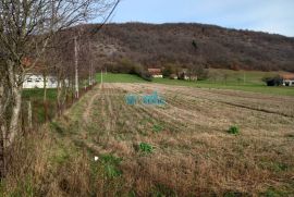 Kompolje, zemljište 7738 m2 PRILIKA!!, Otočac, Terrain