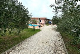 Prizemnica sa bazenom i prostranom okućnicom, Rovinj, Istra, Rovinj, House