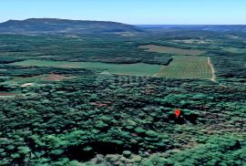 ISTRA, LABIN - Prostrano zemljište, Labin, Land