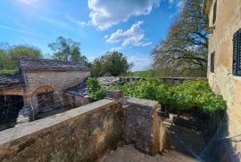 ISTRA, GROŽNJAN, OKOLICA - starina sa zemljištem od 60000 m2, Oprtalj, House