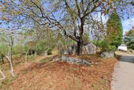 ISTRA, GROŽNJAN, OKOLICA - starina sa zemljištem od 60000 m2, Oprtalj, Haus