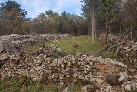 Punat, poljoprivredno zemljište, Punat, Γη