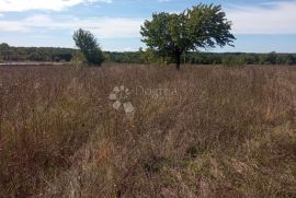 2,5 ha zemljišta na odličnoj lokaciji, Kanfanar, Land