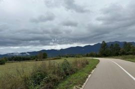 GRAĐEVINSKO ZEMLJIŠTE POD ŠUMOM SMILJAN, Gospić - Okolica, Arazi