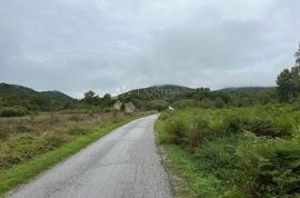 GRAĐEVINSKO ZEMLJIŠTE POD ŠUMOM SMILJAN, Gospić - Okolica, Terrain