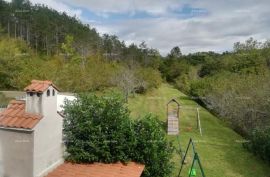 Kuća Lijepa kuća s bazenom na velikoj okućnici od 3865 M2., Buzet, Famiglia