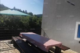 Kuća Lijepa kuća s bazenom na velikoj okućnici od 3865 M2., Buzet, Famiglia