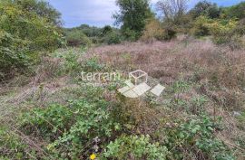 Istra, Medulin građevinsko i poljoprivredno zemljište 10957m2  #prodaja, Medulin, أرض