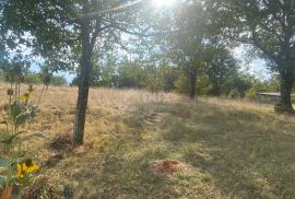 RIJEKA, ČAVLE - samostojeća kuća + 4.000 m2 građevinskog zemljišta okućnice! PRILIKA!, Čavle, بيت