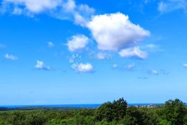 LUKSUZNO OPREMLJEN I NAMJEŠTEN STAN BLIZU POREČA, Poreč, Kвартира