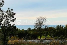 Istra, Vodnjan, građevinsko zemljište 2918m2 na odličnoj lokaciji s pogledom na more, Vodnjan, Terrain